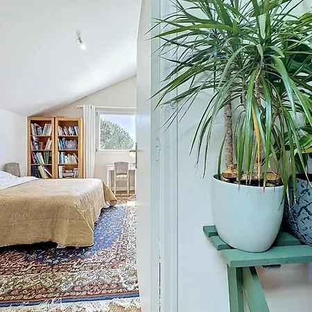 L'incroyable By Interhome